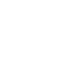 ce logo Waltham