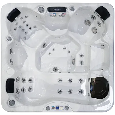 Avalon EC-849L hot tubs for sale in Waltham